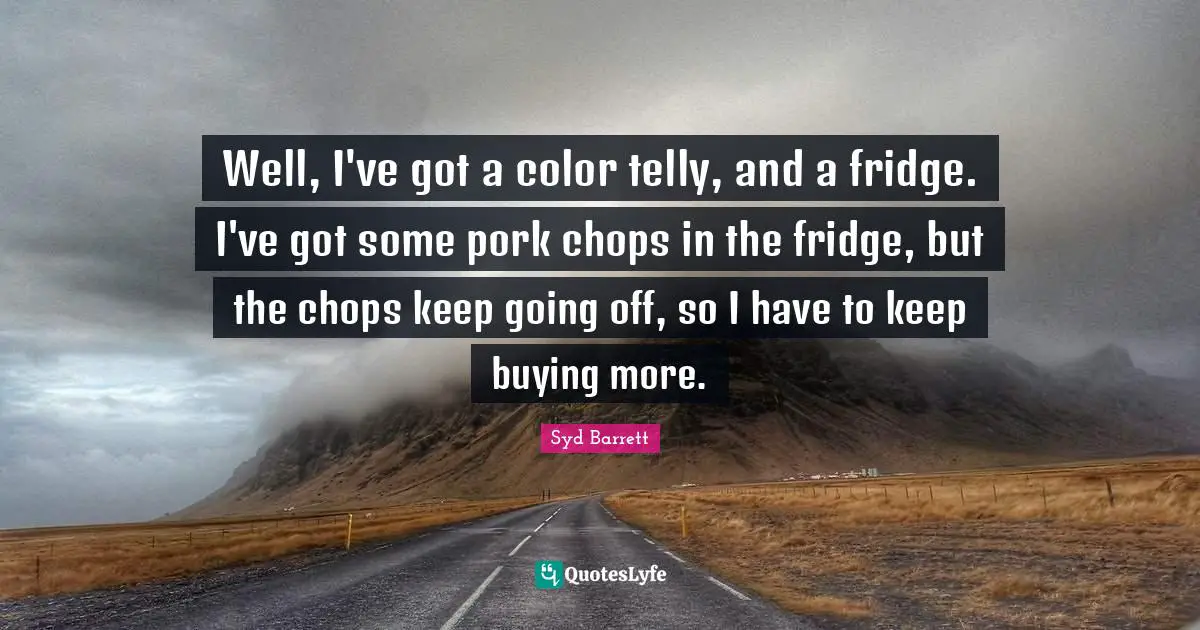 Well, I've got a color telly, and a fridge. I've got some pork chops in the fridge, but the chops keep going off, so I have to keep buying more.