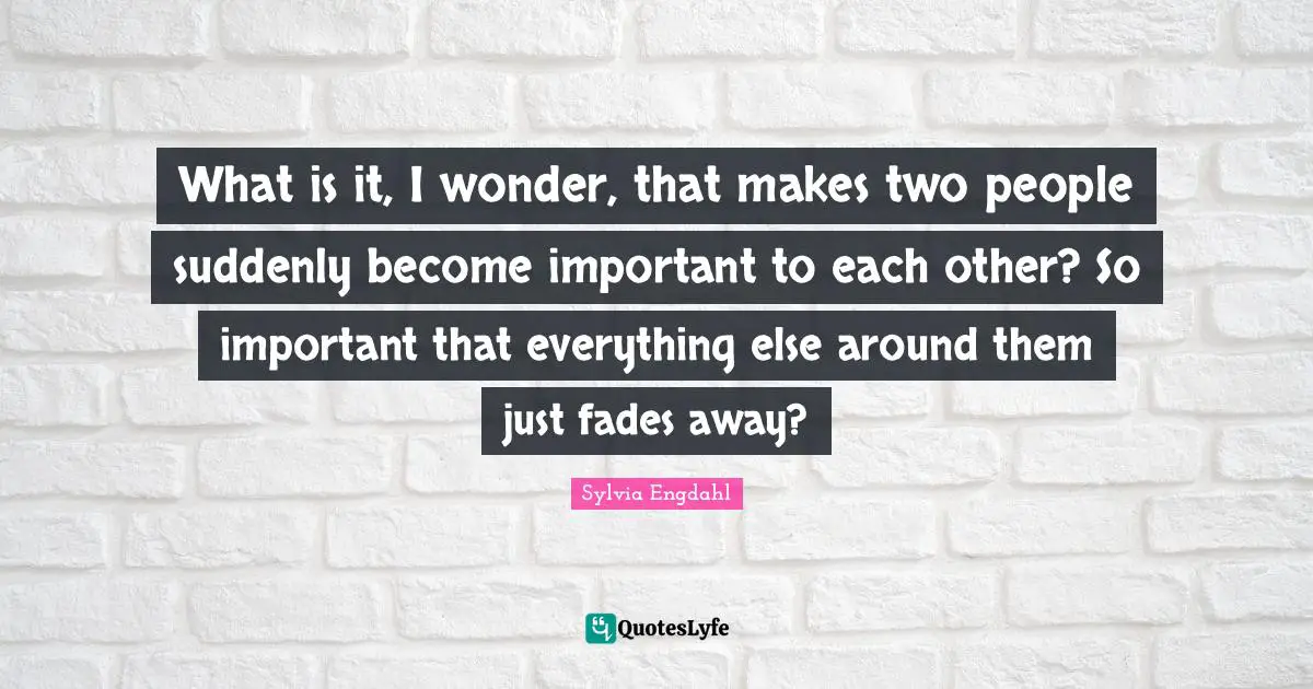 What is it, I wonder, that makes two people suddenly become important to each other? So important that everything else around them just fades away?