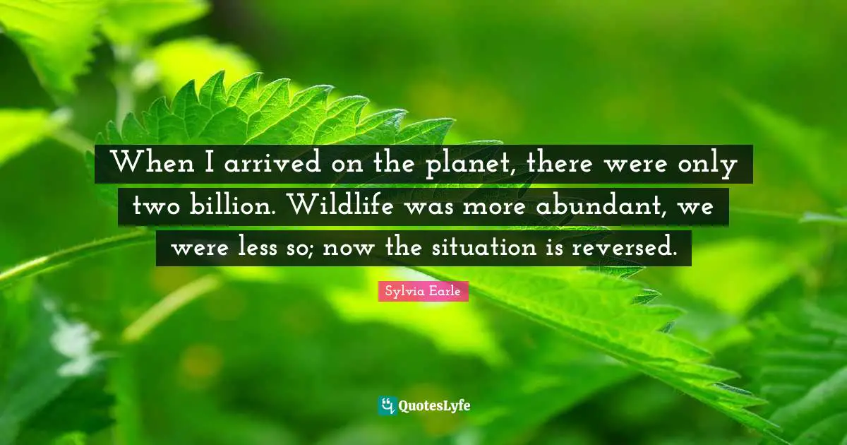 When I arrived on the planet, there were only two billion. Wildlife was more abundant, we were less so; now the situation is reversed.