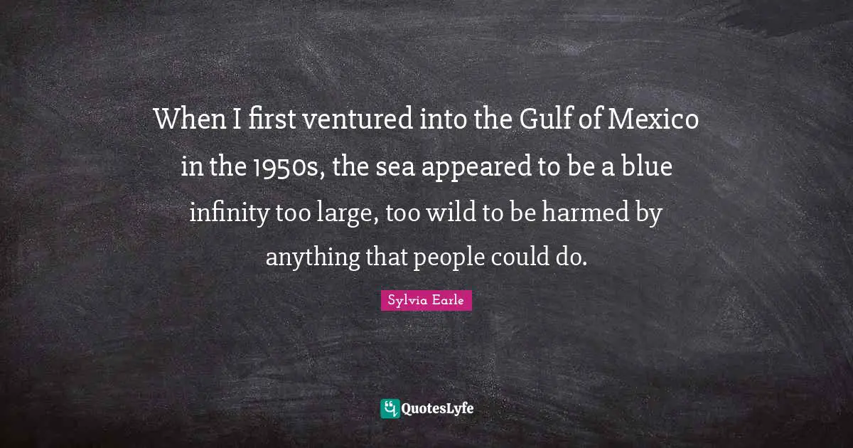 When I first ventured into the Gulf of Mexico in the 1950s, the sea appeared to be a blue infinity too large, too wild to be harmed by anything that people could do.