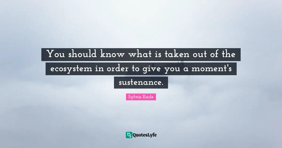 Ecosystems Quotes: "You should know what is taken out of the ecosystem in order to give you a moment's sustenance."