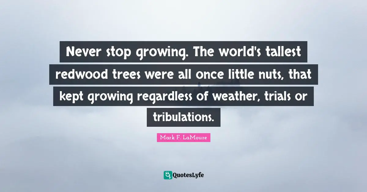 Never stop growing. The world's tallest redwood trees were all once little nuts, that kept growing regardless of weather, trials or tribulations.