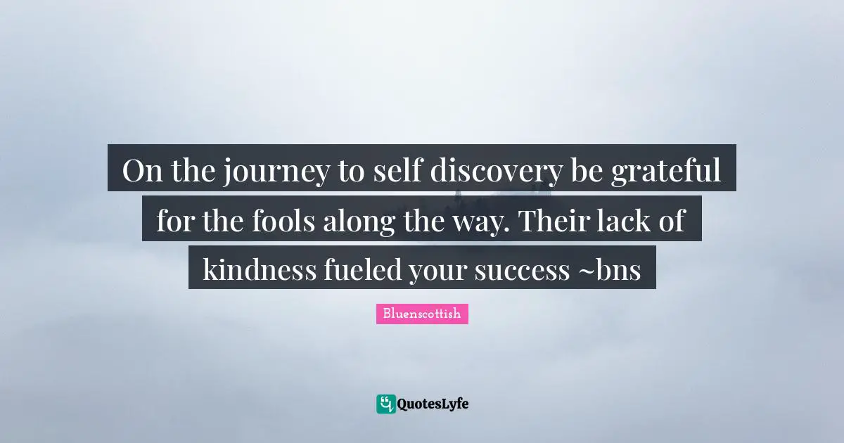 On the journey to self discovery be grateful for the fools along the way. Their lack of kindness fueled your success ~bns