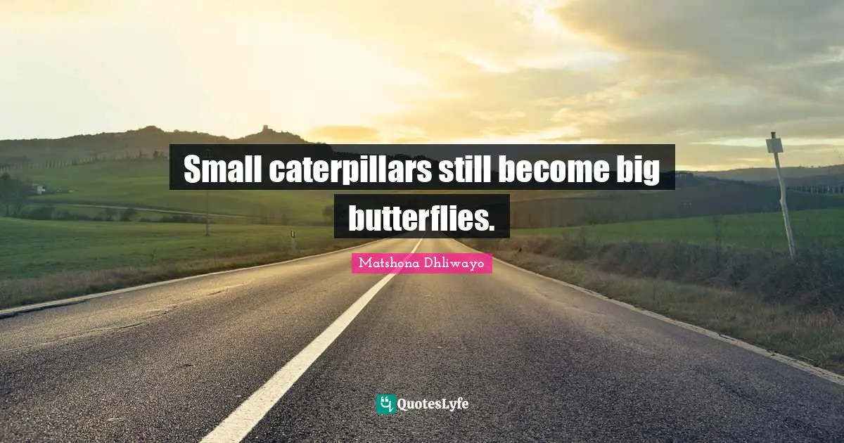 Small caterpillars still become big butterflies.