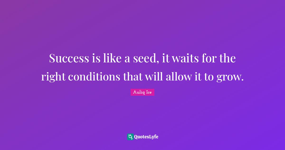 Success is like a seed, it waits for the right conditions that will allow it to grow.