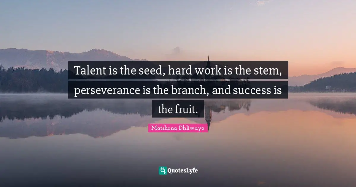Talent is the seed, hard work is the stem, perseverance is the branch, and success is the fruit.