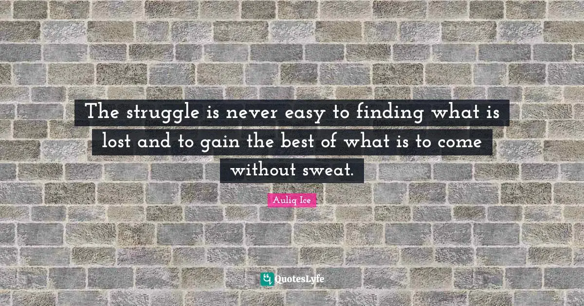 The struggle is never easy to finding what is lost and to gain the best of what is to come without sweat.