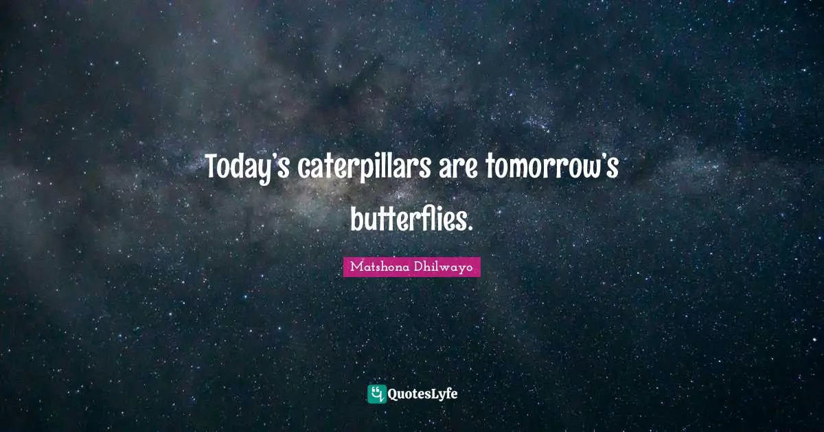 Matshona Dhilwayo Quotes: Today’s caterpillars are tomorrow’s butterflies.