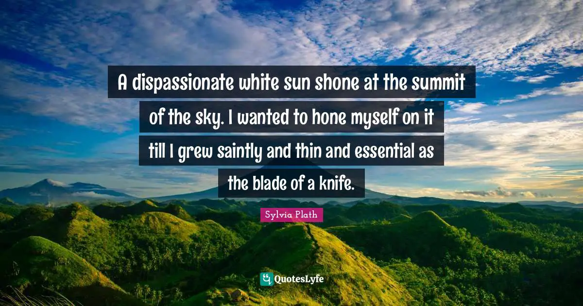 A dispassionate white sun shone at the summit of the sky. I wanted to hone myself on it till I grew saintly and thin and essential as the blade of a knife.