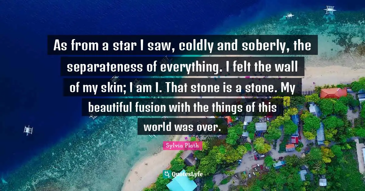 Separateness Quotes: "As from a star I saw, coldly and soberly, the separateness of everything. I felt the wall of my skin; I am I. That stone is a stone. My beautiful fusion with the things of this world was over."
