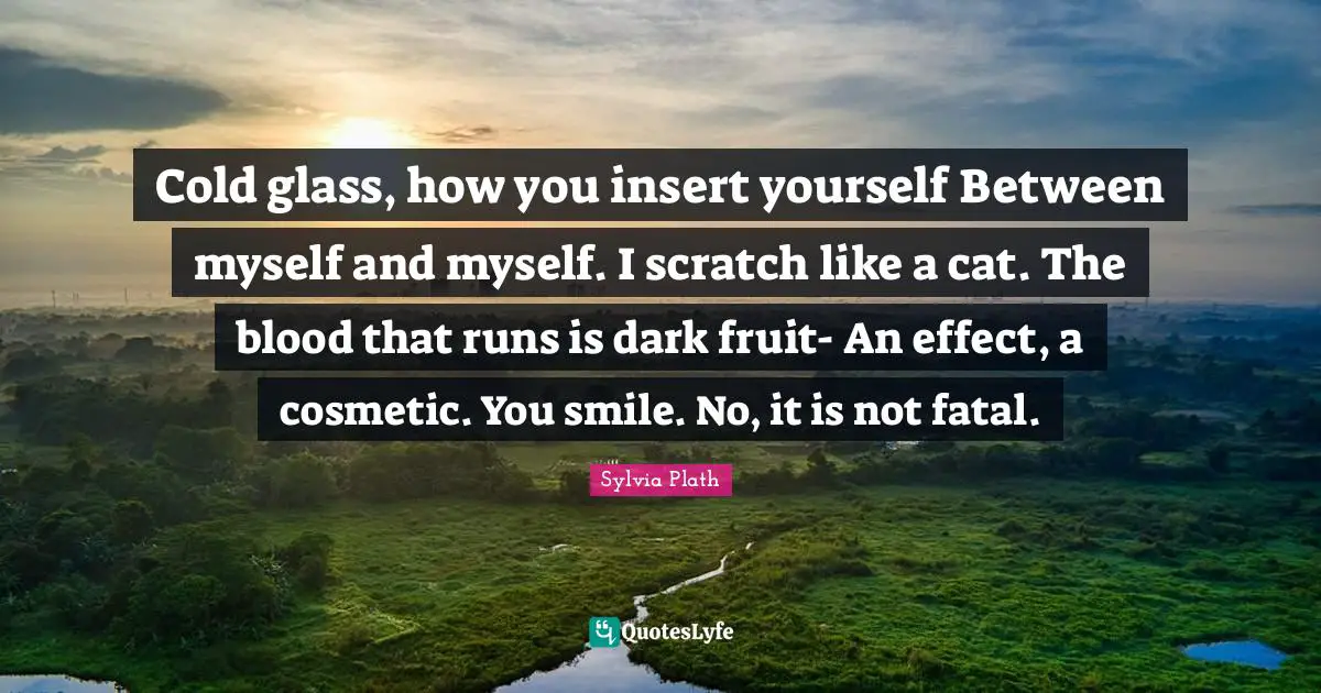Cold glass, how you insert yourself Between myself and myself. I scratch like a cat. The blood that runs is dark fruit- An effect, a cosmetic. You smile. No, it is not fatal.