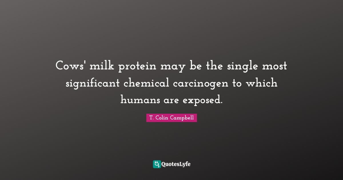T. Colin Campbell Quotes: Cows' milk protein may be the single most significant chemical carcinogen to which humans are exposed.