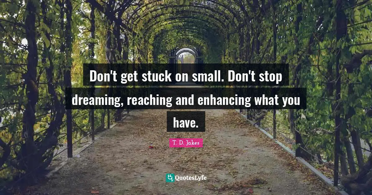 Stop Dreaming Quotes: "Don't get stuck on small. Don't stop dreaming, reaching and enhancing what you have."