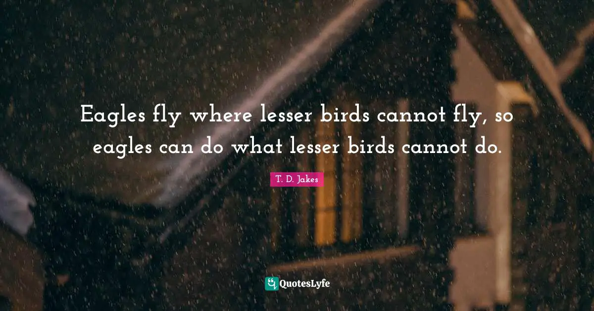 Eagles fly where lesser birds cannot fly, so eagles can do what lesser birds cannot do.
