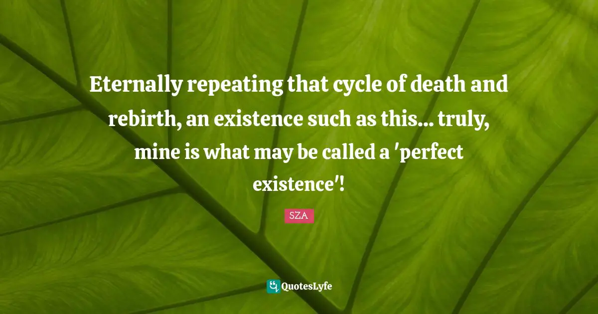 Existence Quotes: "Eternally repeating that cycle of death and rebirth, an existence such as this... truly, mine is what may be called a 'perfect existence'!"