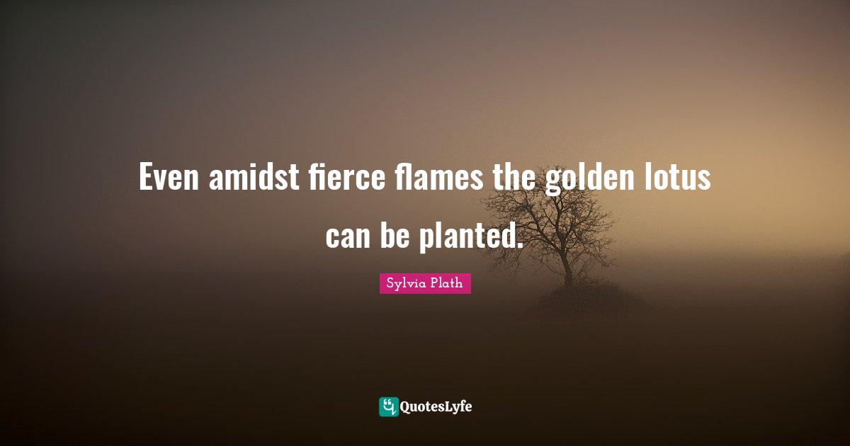 Even amidst fierce flames the golden lotus can be planted.