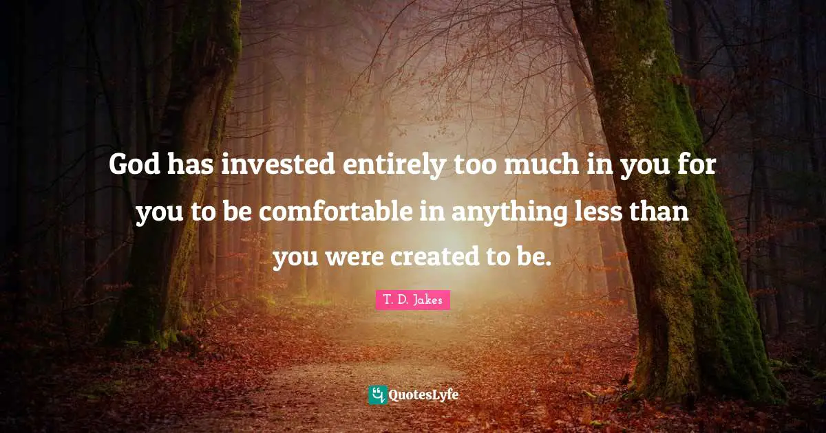 T. D. Jakes Quotes: God has invested entirely too much in you for you to be comfortable in anything less than you were created to be.