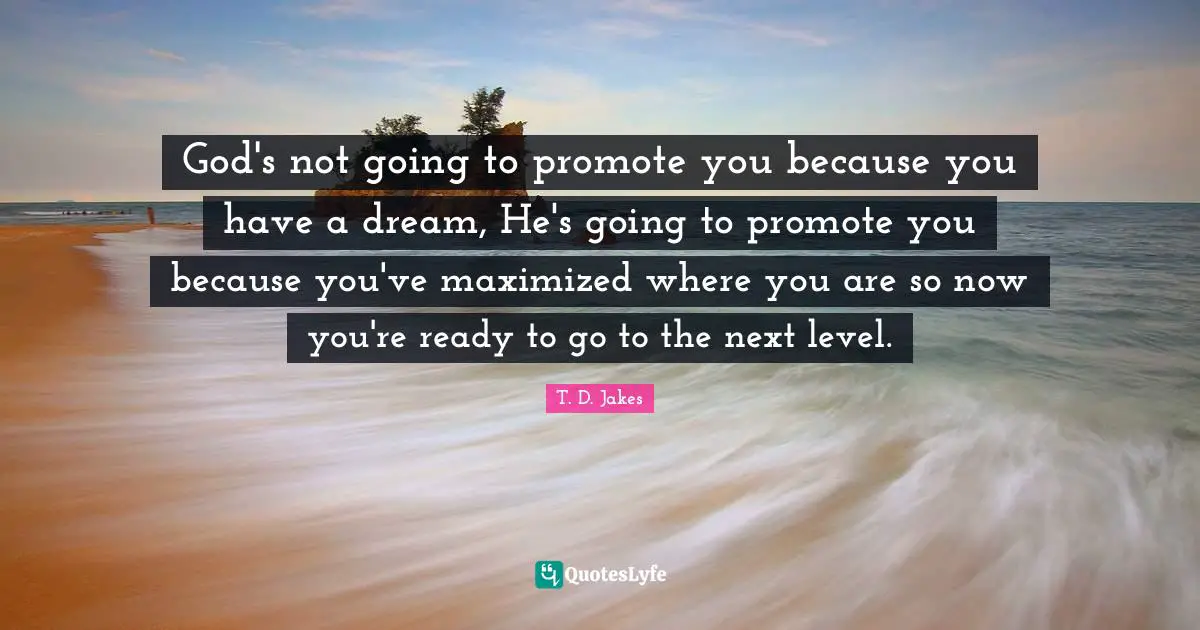 T. D. Jakes Quotes: God's not going to promote you because you have a dream, He's going to promote you because you've maximized where you are so now you're ready to go to the next level.