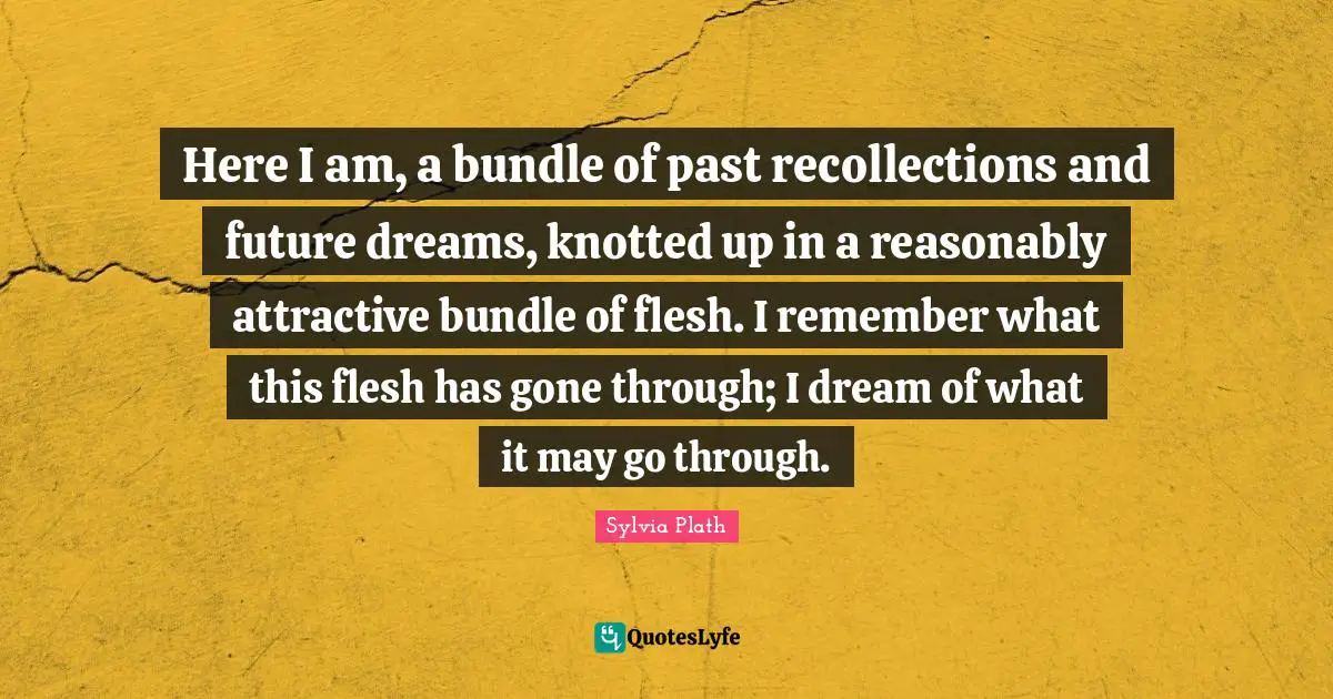 Here I am, a bundle of past recollections and future dreams, knotted up in a reasonably attractive bundle of flesh. I remember what this flesh has gone through; I dream of what it may go through.