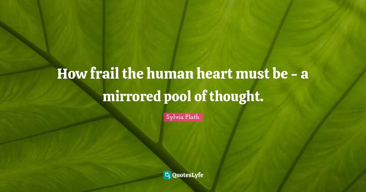 How frail the human heart must be - a mirrored pool of thought.