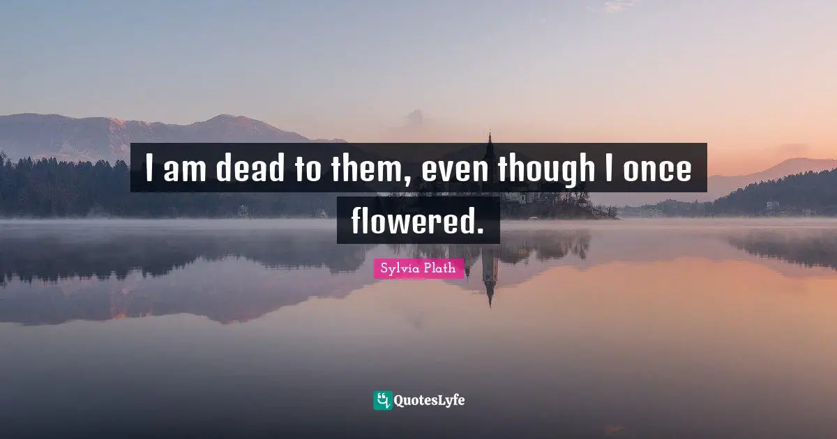 I am dead to them, even though I once flowered.