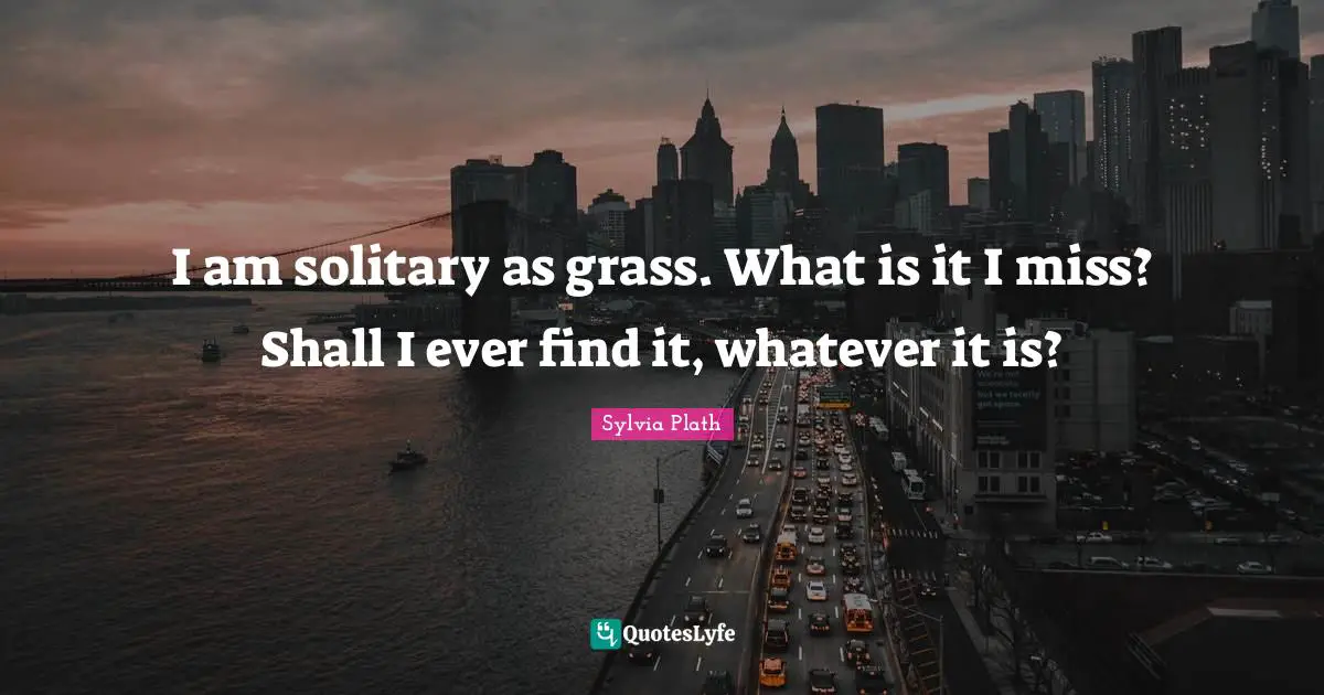 I am solitary as grass. What is it I miss? Shall I ever find it, whatever it is?