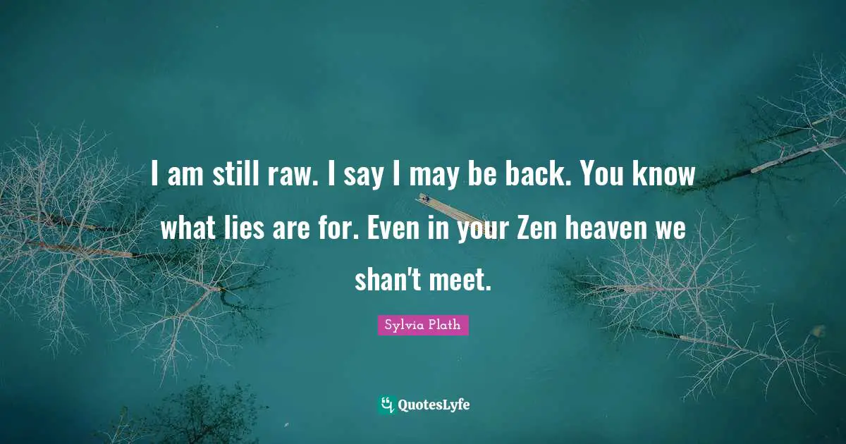I am still raw. I say I may be back. You know what lies are for. Even in your Zen heaven we shan't meet.