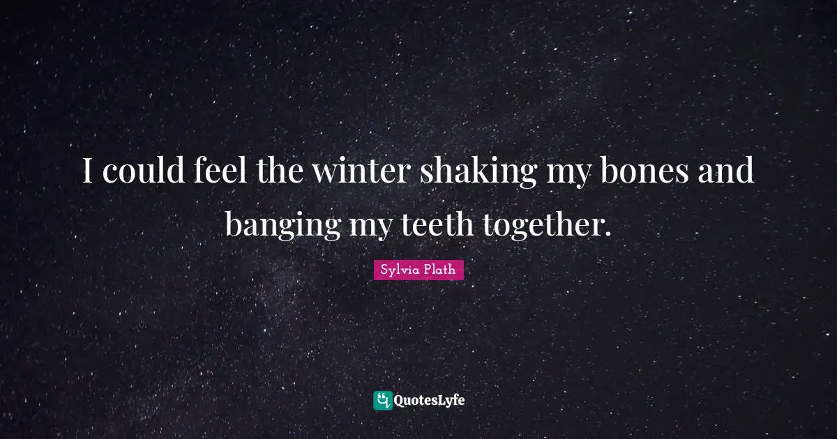 I could feel the winter shaking my bones and banging my teeth together.