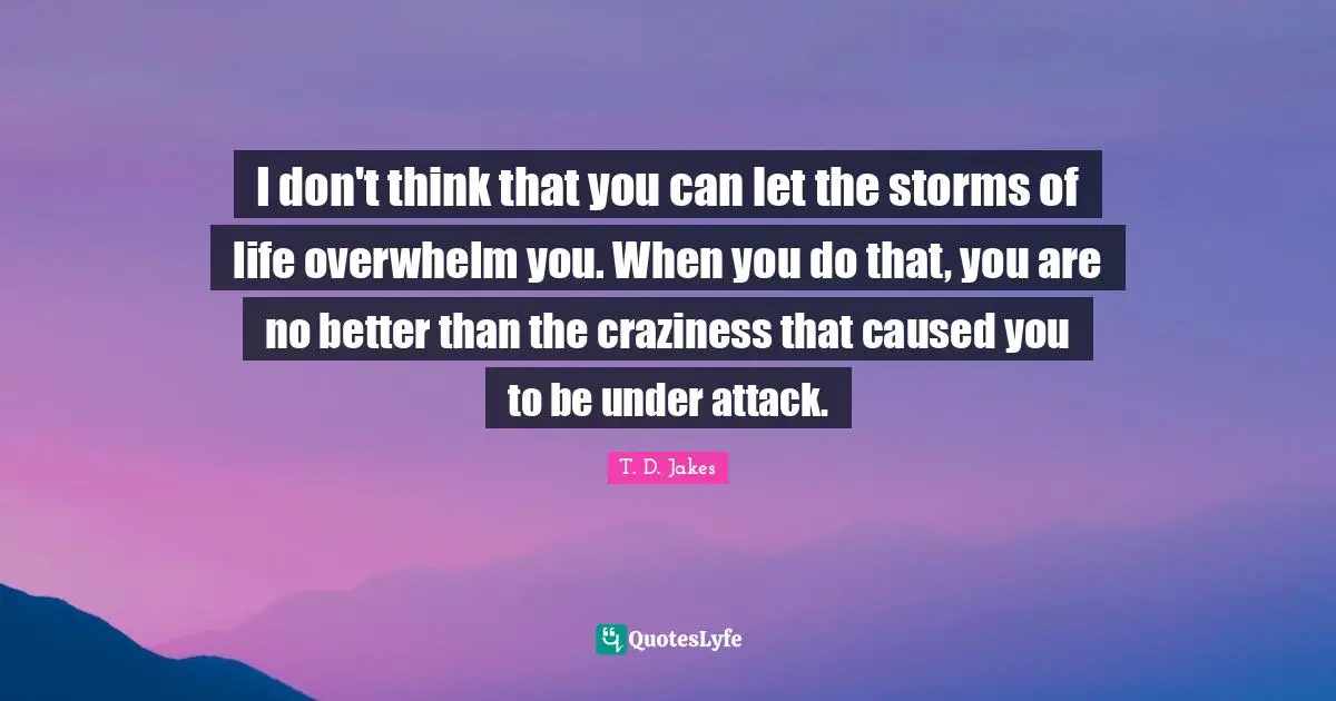 I don't think that you can let the storms of life overwhelm you. When you do that, you are no better than the craziness that caused you to be under attack.