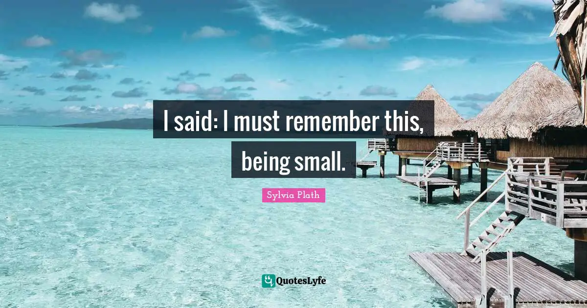 I said: I must remember this, being small.