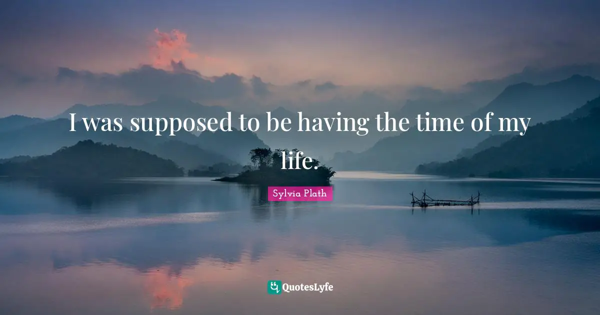 Time Of My Life Quotes: "I was supposed to be having the time of my life."