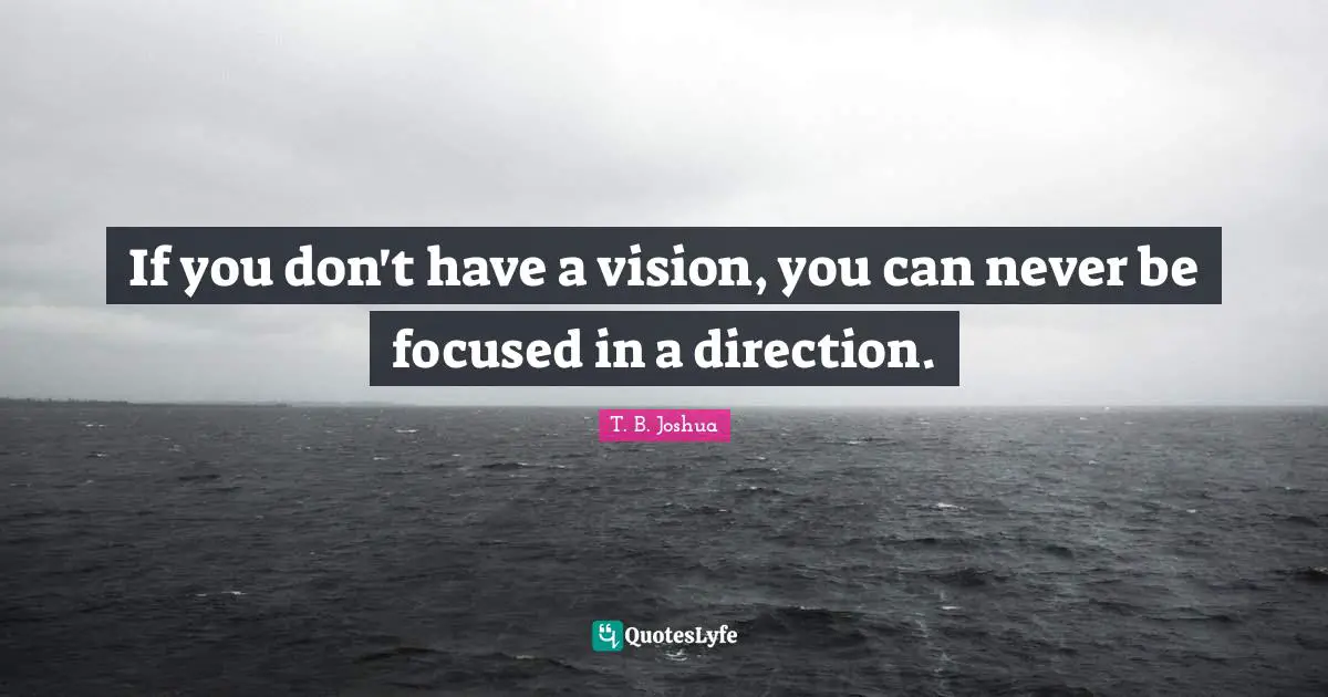 If you don't have a vision, you can never be focused in a direction.