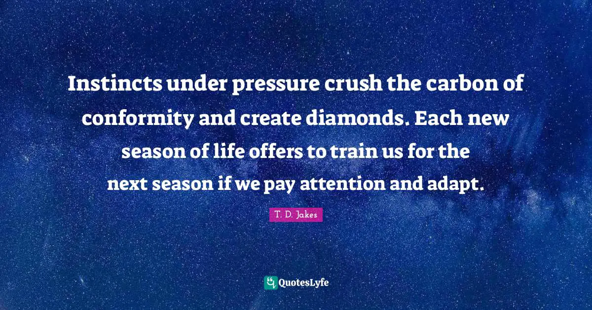 Instincts under pressure crush the carbon of conformity and create diamonds. Each new season of life offers to train us for the next season if we pay attention and adapt.