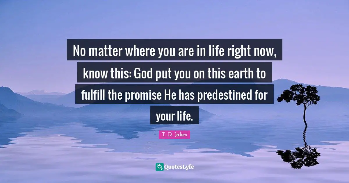T. D. Jakes Quotes: No matter where you are in life right now, know this: God put you on this earth to fulfill the promise He has predestined for your life.