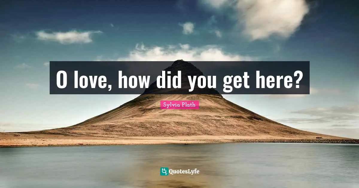 O love, how did you get here?