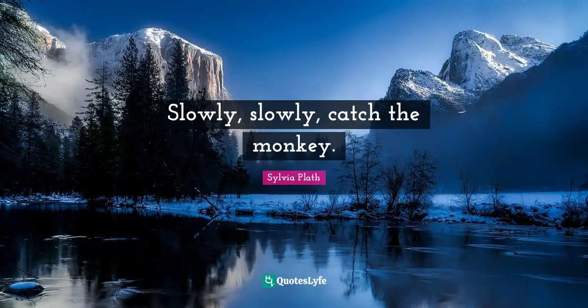 Slowly, slowly, catch the monkey.