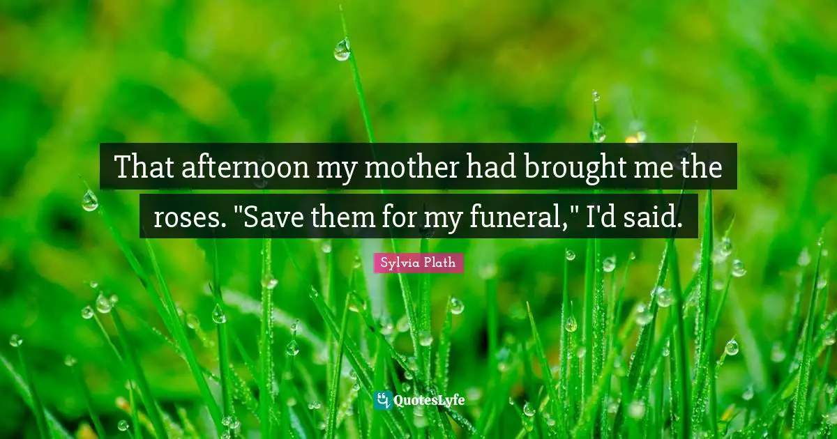 That afternoon my mother had brought me the roses. "Save them for my funeral," I'd said.