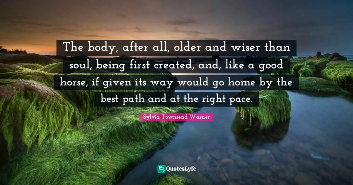 The body, after all, older and wiser than soul, being first created, and, like a good horse, if given its way would go home by the best path and at the right pace.