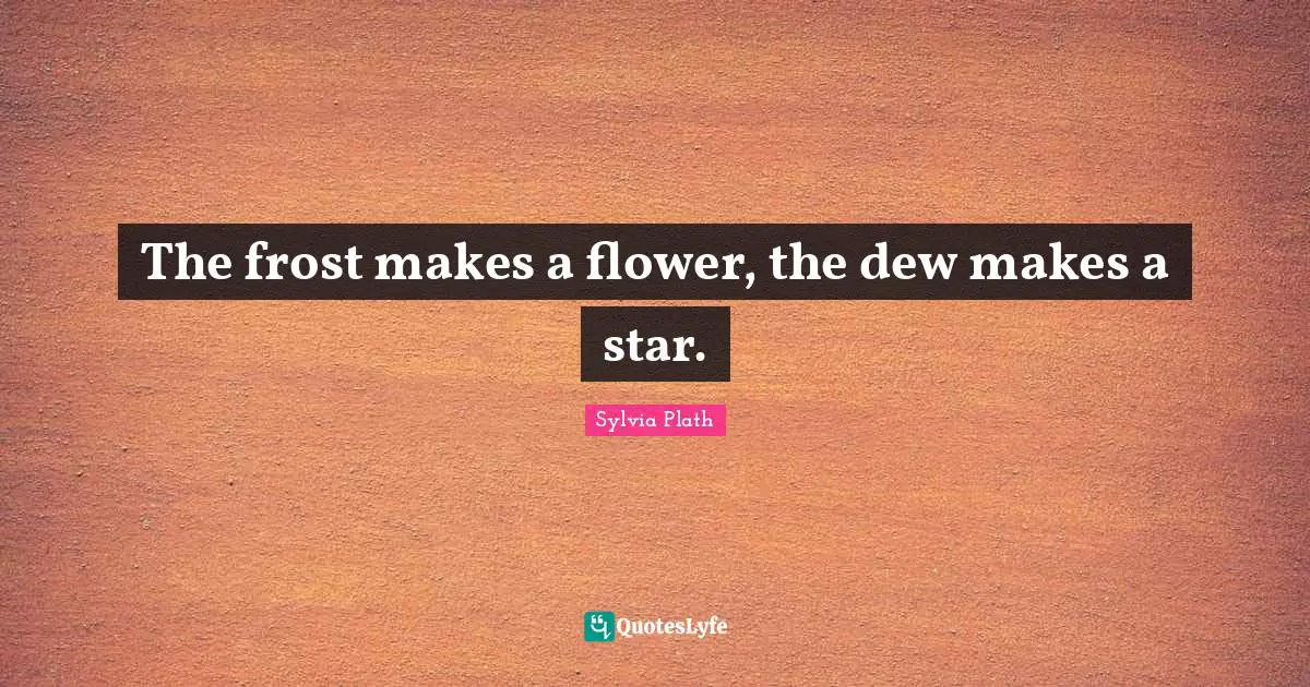 The frost makes a flower, the dew makes a star.