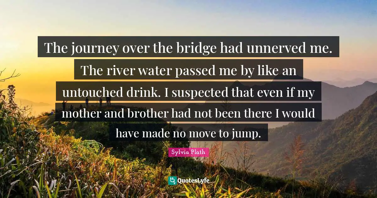 The journey over the bridge had unnerved me. The river water passed me by like an untouched drink. I suspected that even if my mother and brother had not been there I would have made no move to jump.