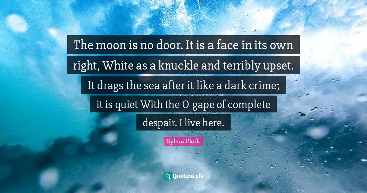 The moon is no door. It is a face in its own right, White as a knuckle and terribly upset. It drags the sea after it like a dark crime; it is quiet With the O-gape of complete despair. I live here.