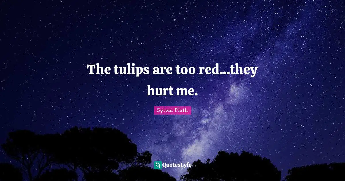 The tulips are too red...they hurt me.