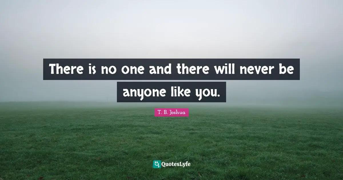 Like Quotes: "There is no one and there will never be anyone like you."