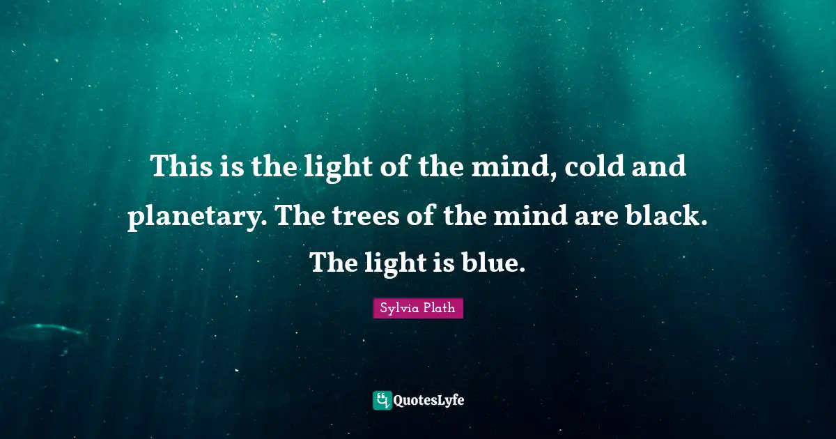 This is the light of the mind, cold and planetary. The trees of the mind are black. The light is blue.