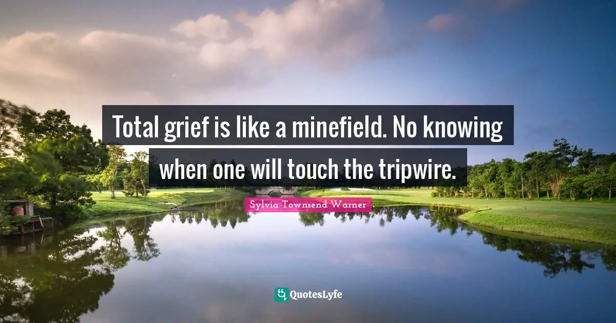 Total grief is like a minefield. No knowing when one will touch the tripwire.