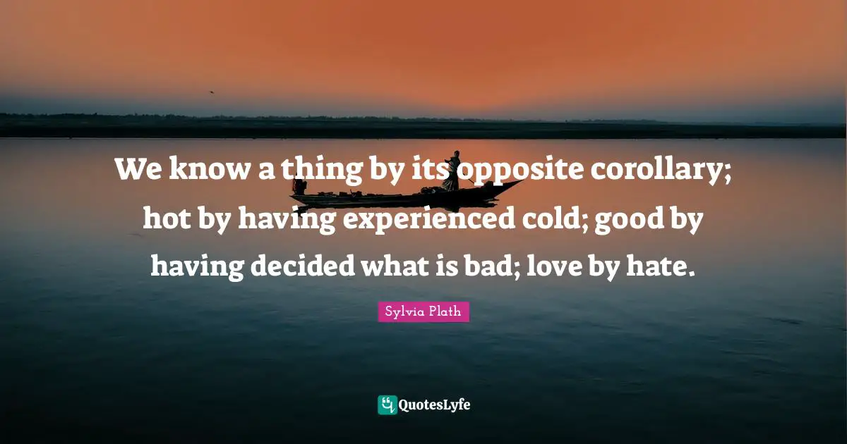 We know a thing by its opposite corollary; hot by having experienced cold; good by having decided what is bad; love by hate.