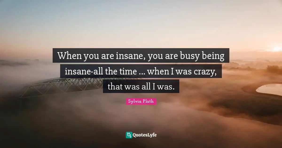 When you are insane, you are busy being insane-all the time ... when I was crazy, that was all I was.