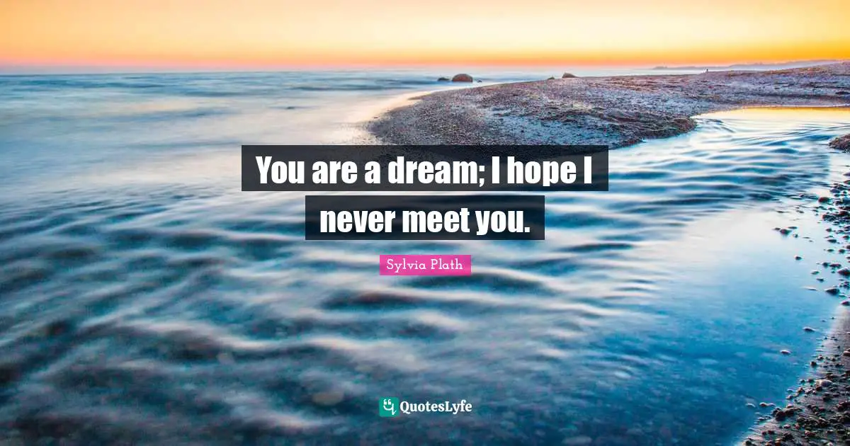 You are a dream; I hope I never meet you.