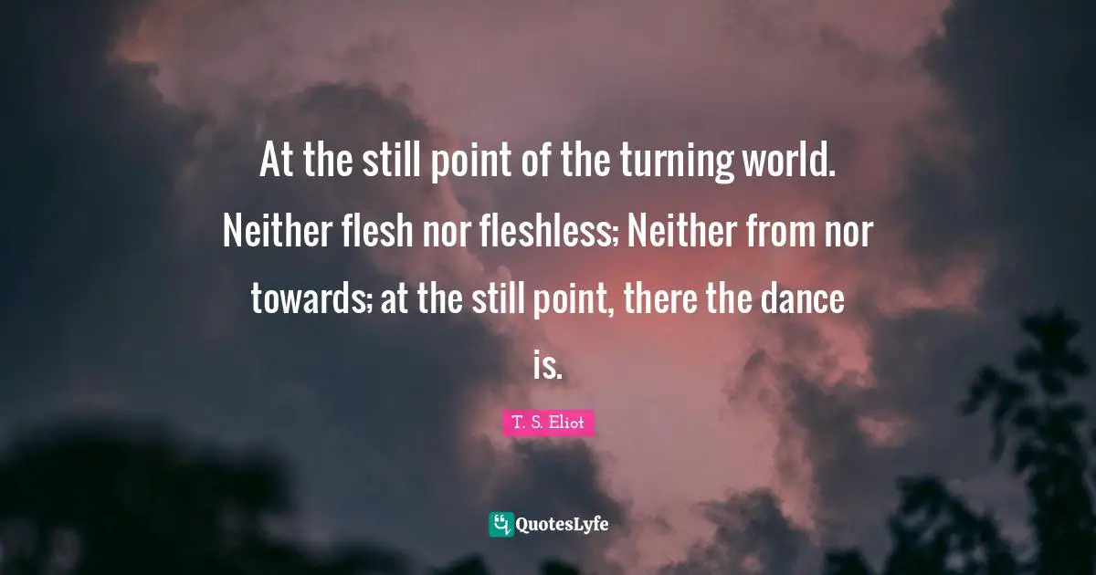 At the still point of the turning world. Neither flesh nor fleshless; Neither from nor towards; at the still point, there the dance is.