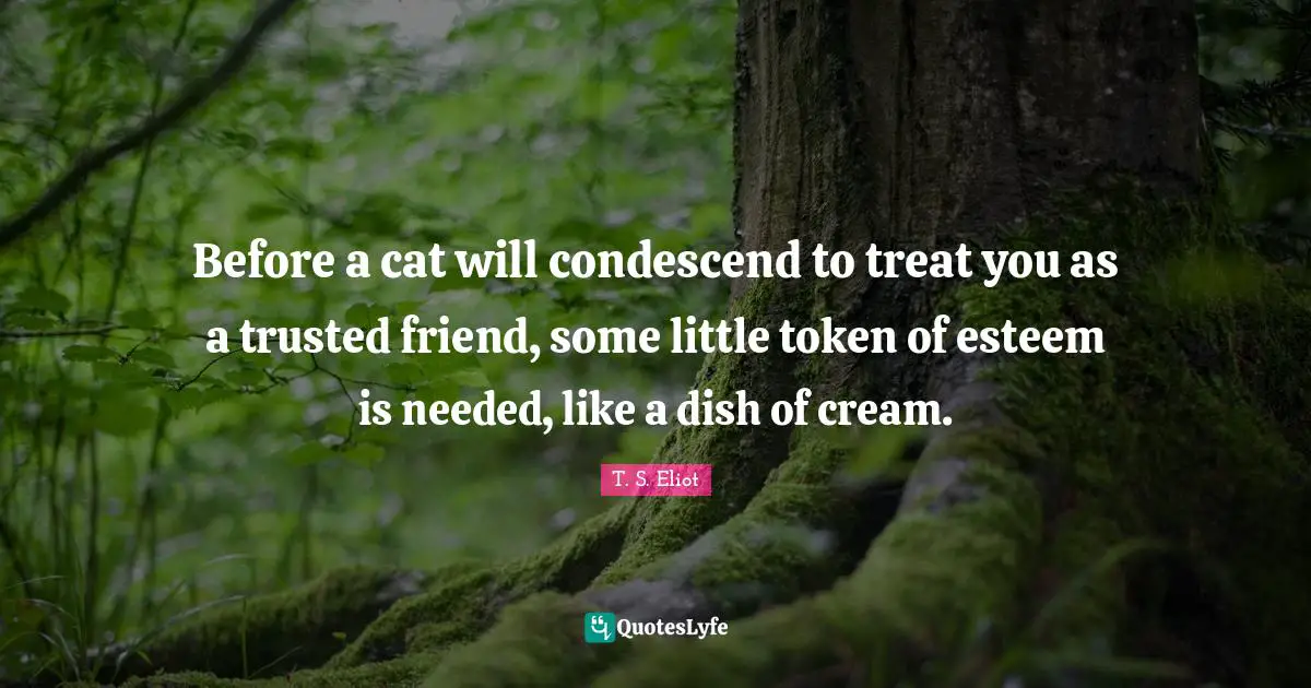Before a cat will condescend to treat you as a trusted friend, some little token of esteem is needed, like a dish of cream.